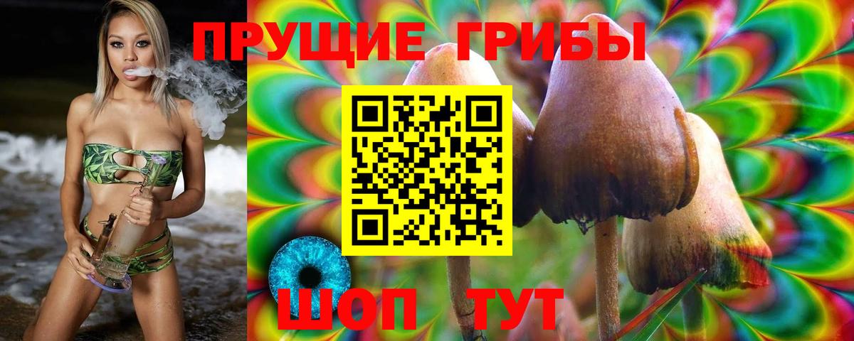 Галлюциногенные грибы мухоморы Новый Уренгой