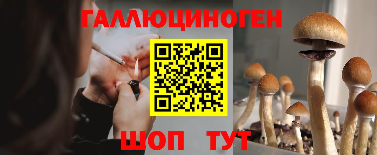Галлюциногенные грибы MAGIC MUSHROOMS  Вход с VPN  Новый Уренгой 