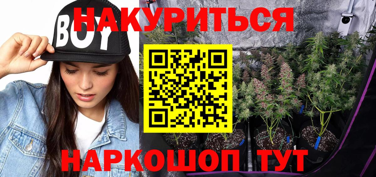 Каннабис White Widow  МАРИХУАНА SATIVA & INDICA  Новый Уренгой  МАРИХУАНА план  Вход с VPN 
